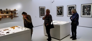 Taidetta luonnon materiaaleista